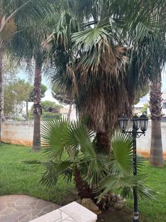 Villa Meridia - 4