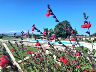 Agriturismo Pieve San Biagio - 8