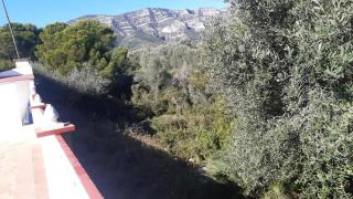 House in Alcanar with private pool 95 m² - 4