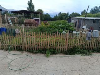 Bahause - 1