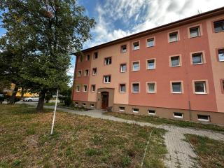 Svoboda STAY - 1