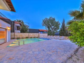 Villa Doğa - 4