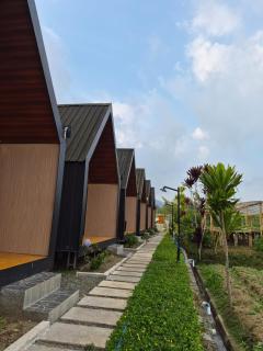 Andong Valley - 4