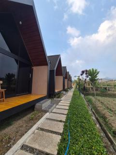 Andong Valley - 1