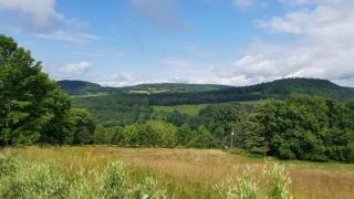 Hillcrest Cottage - Charming Cottage with hot tub and view! - 6