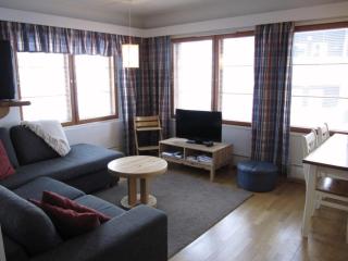 Karhunvartijan Tupa - 1BR Apt next to Ski Slopes - 9