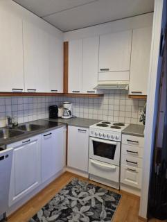 Karhunvartijan Tupa - 1BR Apt next to Ski Slopes - 3