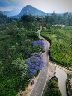 Isuru Homestay - 0
