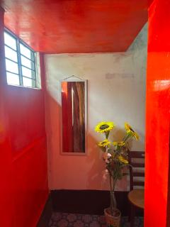 LunaLEAF HOMESTAY - 8
