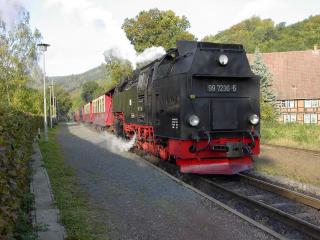 Waldhaus - Wernigerode - 2