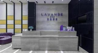 Lavande Hotel Leshan High-Speed Rail Station Wanda Plaza Branch - 8