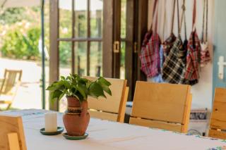 Casa Veche Leheceni (8-Room Country House) - 6