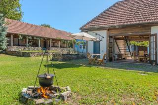 Casa Veche Leheceni (8-Room Country House) - 2