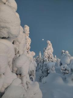 Aurora Cottage Ounasvaara by BookLapland - 5