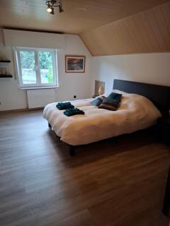 Tussen bos en nete - 8