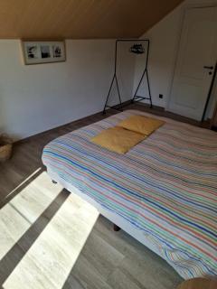 Tussen bos en nete - 2