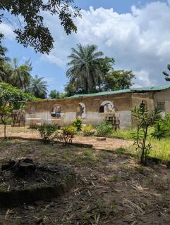 Bakis africa greenzone - 0