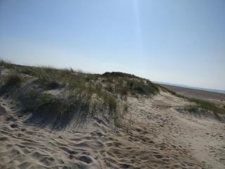4 star holiday home in Fjerritslev - 4