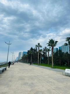 BLUE HORIZON orbi SEA VIEW - 9