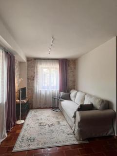 KORONSOVAC House with 4 Apartments - 8