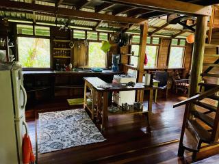 Tranquila, Casonita y Ranitas 3 Jungle Houses for nature lovers sleeps 8 - 2