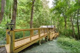 Cozy Mountain Cabin with Fireplace, Creekside Views, Outdoor Fire Pit in Hot Springs - 9