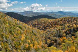 Cozy Mountain Cabin with Fireplace, Creekside Views, Outdoor Fire Pit in Hot Springs - 6