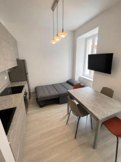 Luxury apartment + garage - 5
