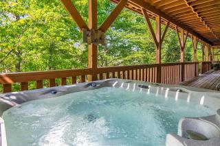 Smoky Mtn Large Private Douglas Lake Lodge- 12 acres- Sevierville - 6