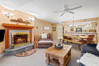 Slopeside Solitude Ski-In Ski-Out & Cozy Fireplace - 0