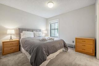 Mountain Escape 3 BR Condo at Okemo with Fireplace - 7