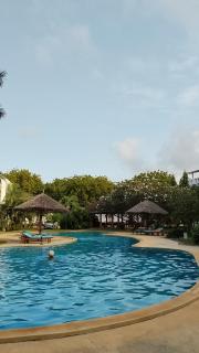 Green Malindi - 8