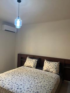 Akid Lotfi APT - 5
