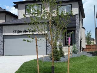 Cozy Haven - 3