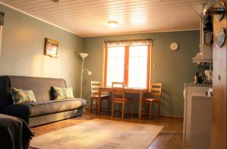 Scandinavian Dream Cottages Vikajarvi- Rovaniemi - 4