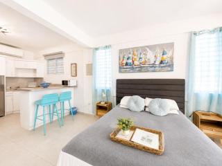 Beachfront Studio in Aguada - 2