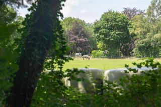 Sensa-home Veluwe - 1