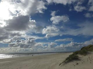 5 star holiday home in Blåvand - 3
