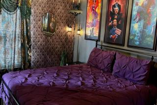 Magical Themed Home Potter Peter Pan 3mi Disney - 1