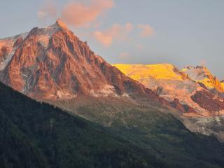 Superbe T3- Vue Mont-Blanc- Au pied du Brévent- Chamonix - Chamonix-Mont-Blanc - 9