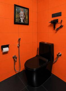 The Orange Lair Serene 1bhk Peaceful farm view flat in Varca - 4
