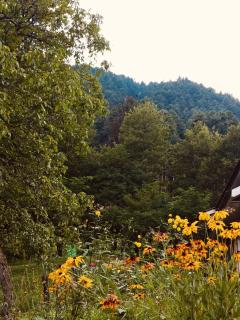 Freedom Palace Homestay - 6