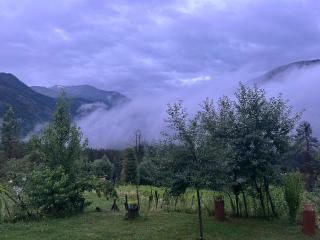 Freedom Palace Homestay - 3