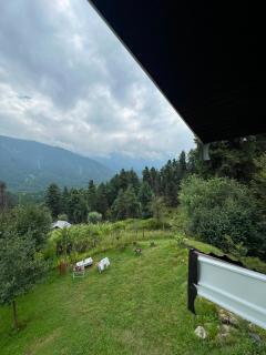 Freedom Palace Homestay - 1