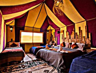 Luxury Happiness Camp - 1