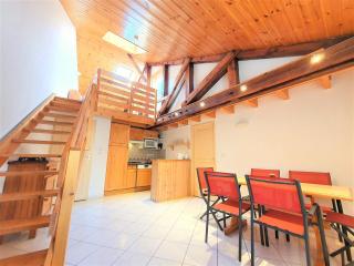 Charmant Duplex Pied De Pistes - 0