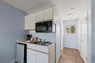Ground Floor Studio - Pet-Friendly with Kitchenette - Pool and Hot Tub - 9