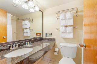 Comfort Inn University Center - 8