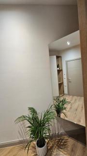 The Center Rooms - 7