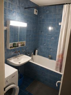 Central Geneva Aparthotel Large Suite 2-4 guests - 6